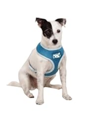 Pet Products: Dog is Good Halo Dog Harness, Medium, Blue - Leynas Pup Palace, LLC