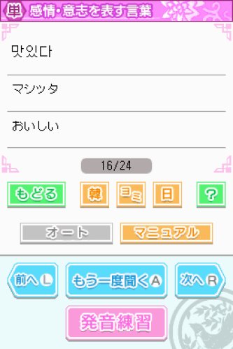 DS ハングル-イメージ