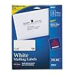 Avery 2 x 4 Inch White Shipping Labels 250 Count (8163)