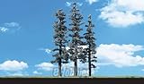 Classic Trees, Standing Timber 6-7