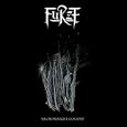 Necromanzee Cogent