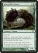 Magic the Gathering Gravetiller Wurm Dark Ascension DKA 116 / 158 Uncommon