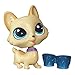 Littlest Pet Shop Single Pet Keyboard Corgi Doll