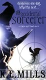 The Accidental Sorcerer