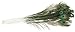 Peacock Eye Feathers - 12PK/Natural