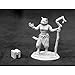Reaper Miniatures Mistveil, Catfolk Sorceress #03927 Dark Heaven Metal Figure