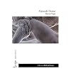 Grande Ourse : Roman pa�en