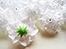 (24) Silk White Roses Flower Head - 1.75