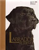 Labrador Retriever (Best of Breed)