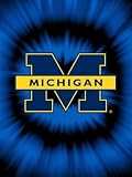 NCAA Michigan Wolverines Tye Dye Raschel Throw Blanket