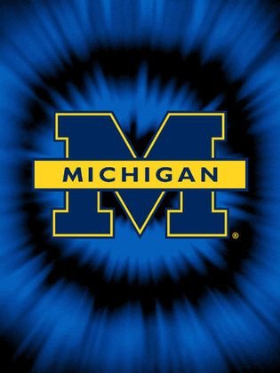 NCAA Michigan Wolverines Tye Dye Raschel Throw Blanket