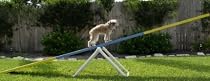 Adjustable Teeter Base SeeSaw Base - Dog Agility Equipment- BOARD NOT INCLUDED!