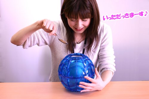 ローリングアイスボール『プレイ&フリーズアイスクリームメーカー』- Play and Freeze Ice Cream Maker (Clear/クリア)