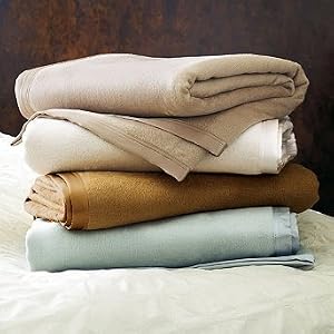 Indulgence Silk Plush Blanket - Ivory, King - Frontgate