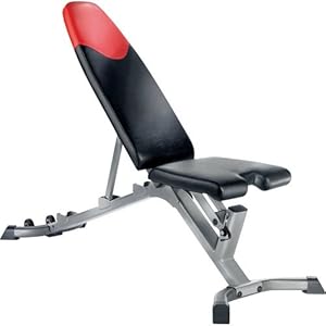  Bowflex SelectTech Adjustable Bench Series 