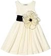Blue Pearl Girls 2-6x Ivory Brushed Lace Sleeveless Jackie Dress