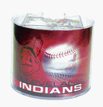 Indians Paper & Desk Caddy