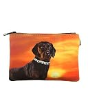 Chocolate Lab Labrador Retriever Coin Purse