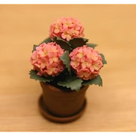 Miniature Pink Hydrangea Plant in a Clay Pot