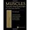 Physical Therapy Essentials