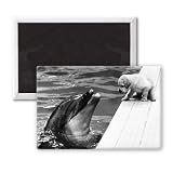 The odd couple - 3x2 inch Fridge Magnet - large magnetic button - Magnet