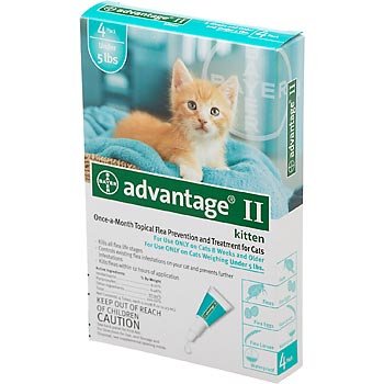 ^Cheap^ Bayer Advantage II Turquoise 4-Month Flea Control for Kittens ... - Flea Prevention For Kittens Under 4 Months
