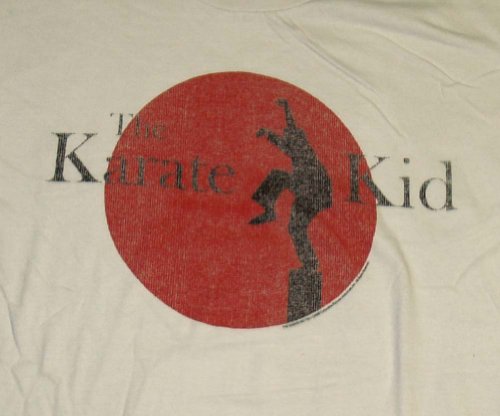 Image #2 of The Karate Kid Rising