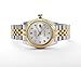 Sangdo Men's with Diamond Round White Stainless Steel Automatic Mechanical Watches