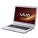 Computer Hardware : Sony Vaio VGN-NS11M/S 15,4 Zoll WXGA Notebook (Intel Core 2 Duo T5800 2GHz, 3GB RAM, 250GB HDD, Mobile Intel Graphics Media Accelerator 4500 MHD, DVD+- DL RW, Windows Vista Home Premium)