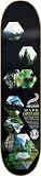 Element Ether Appleyard Helium Skateboard Deck (8.0)