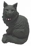 ちゃこぺっと メインクーン R23の画像