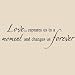 Love...captures us in a moment and changes us forever Vinyl Lettering Wall Quote Decal Sticker