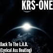 Back To The L.A.B. (Lyrical Ass Beating) [Explicit]