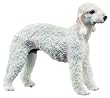 Bedlington Terrier Figurine - Cold Cast Resin - 3.5'' Length