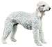 Bedlington Terrier Figurine - Cold Cast Resin - 3.5'' Length