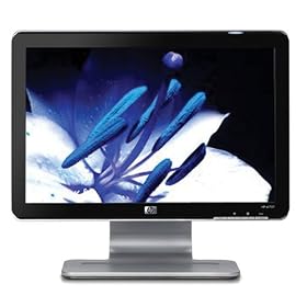 HP W1707 17 Inch Widescreen LCD Monitor