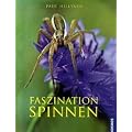 Faszination Spinnen