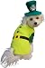 Pet Boy Leprechaun Dog Halloween Costume (Small)