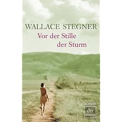 Vor der Stille der Sturm: Roman