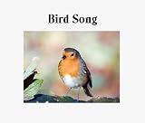 Bird Song - Nature CD