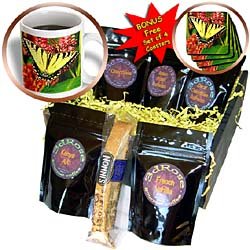 Butterflies - Tiger Swallow Tail - Coffee Gift Baskets - Coffee Gift Basket by 3dRose LLC