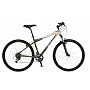 Schwinn Mesa GS Adult Mountain Bike