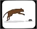 Mouse Pad with animals, jaga, mouse, cat, pet, rodent, chasing, verb, feline