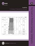 Key issues in petroleum geology : stratigraphy