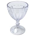 Acrylic Passover Goblet