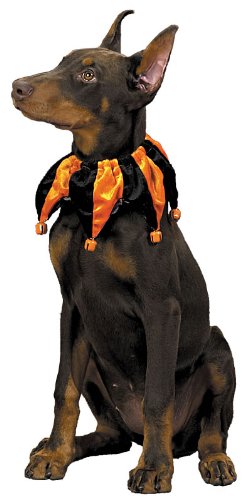 DOG JESTER COLLAR- LG - LARGE