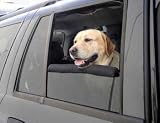 Outward Hound Auto Window Bumper
