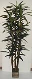 Review Silk Plants Plus  / 5' Draceana Tree on Real Wood