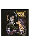 Immortalizer [Vinyl]
