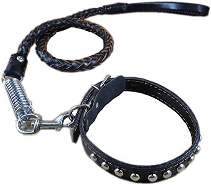 Ypet Braided Genuine Leather Dog Leash 4ft Pet Training Collar Leash Set For Heavy Duty Stainless Chain with Spring,M,Black